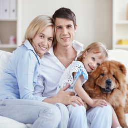 Segurança eletrônica para residências em Caxias do Sul